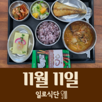 11월11일 일로식단