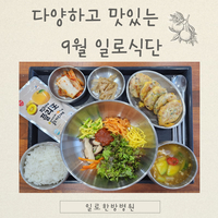 다양하고 맛있는 9월 일로식단⍤