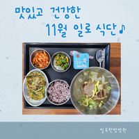 맛있고 건강한 11월 일로 식단♪